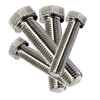 Stainless Steel Hexagonal Bolts