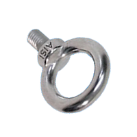 Stainless Steel Collared Eye Bolt